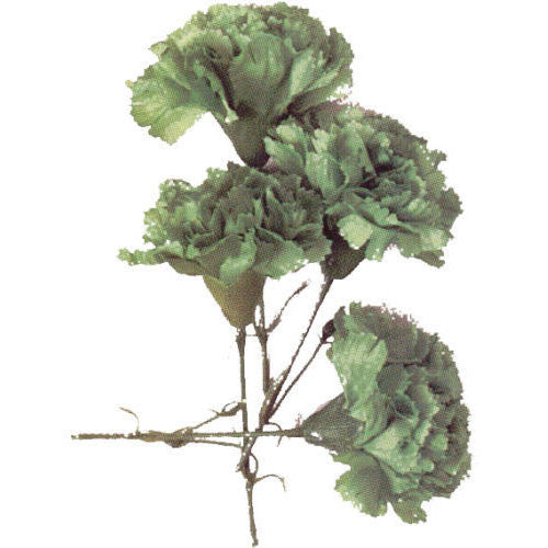 Silk Green Carnation - 2.5" (1 ct)