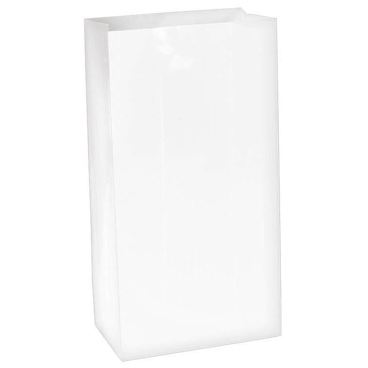 Frosty White Mini Paper Bags (12ct)