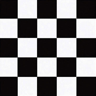 Black Check Plastic Tablecover