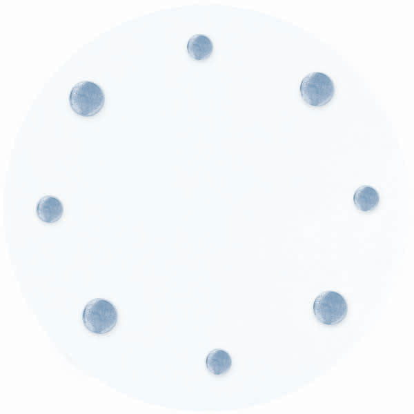 Blue Dot Tulle Circles (12 ct)