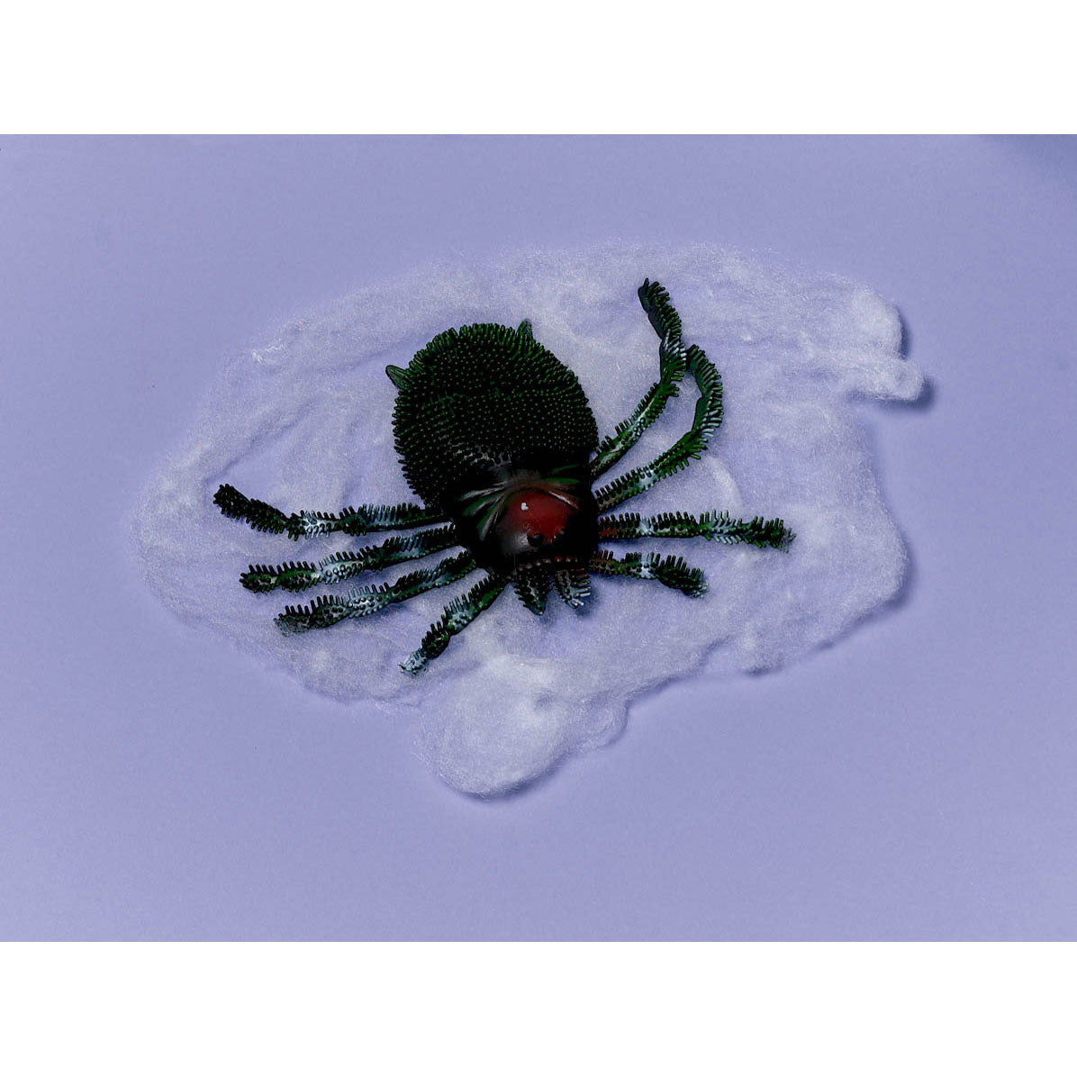 Big Spider and Web