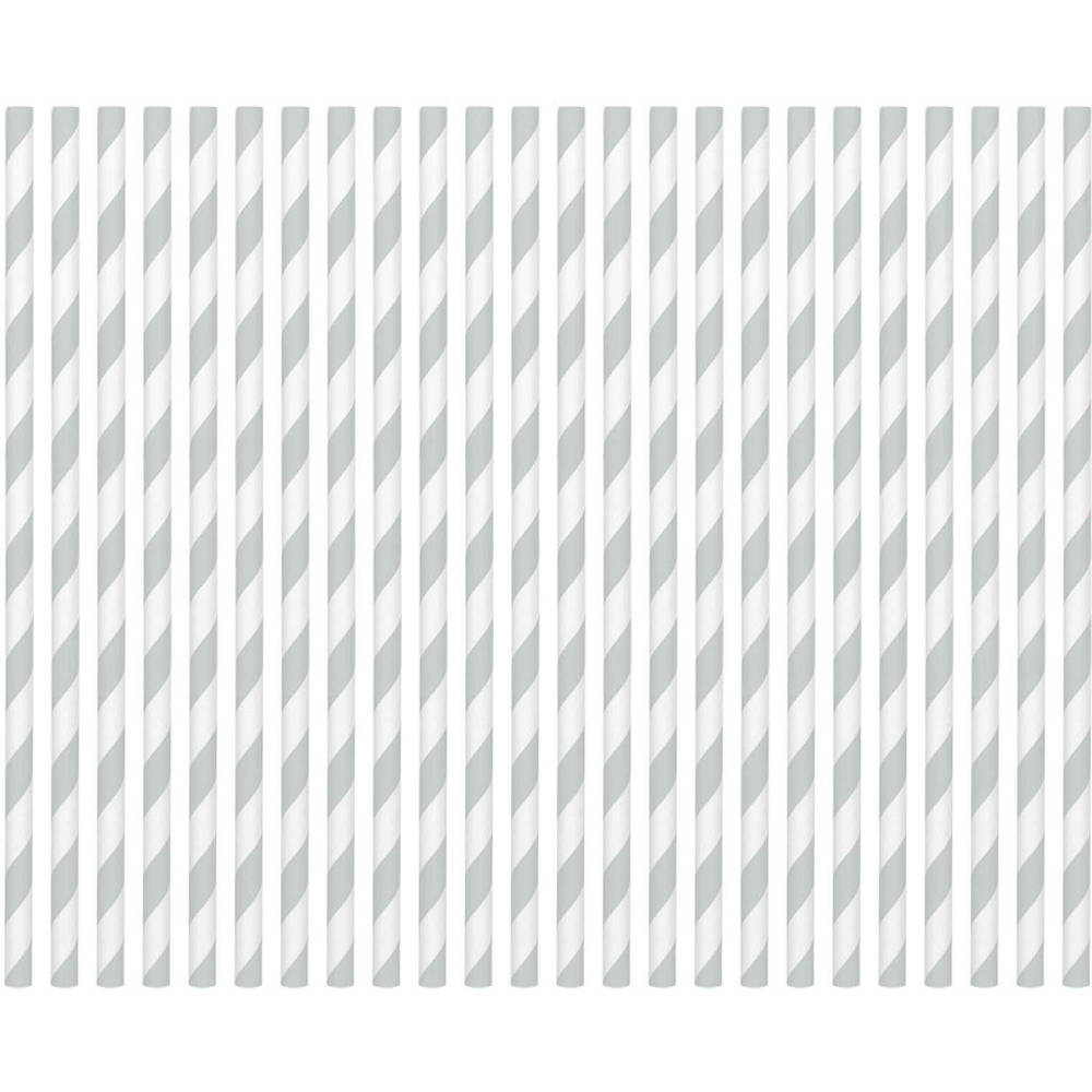 Silver Paper Straws (24ct)