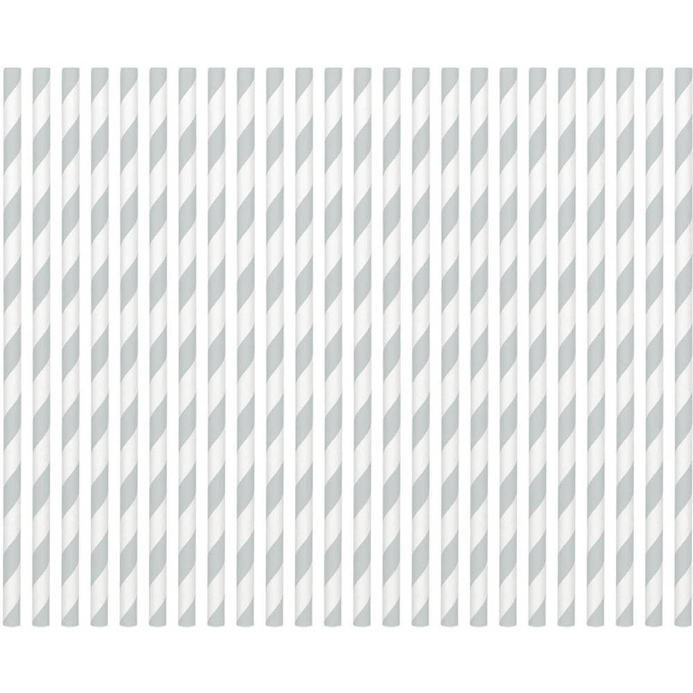 Silver Striped Straws Paper 80 ct