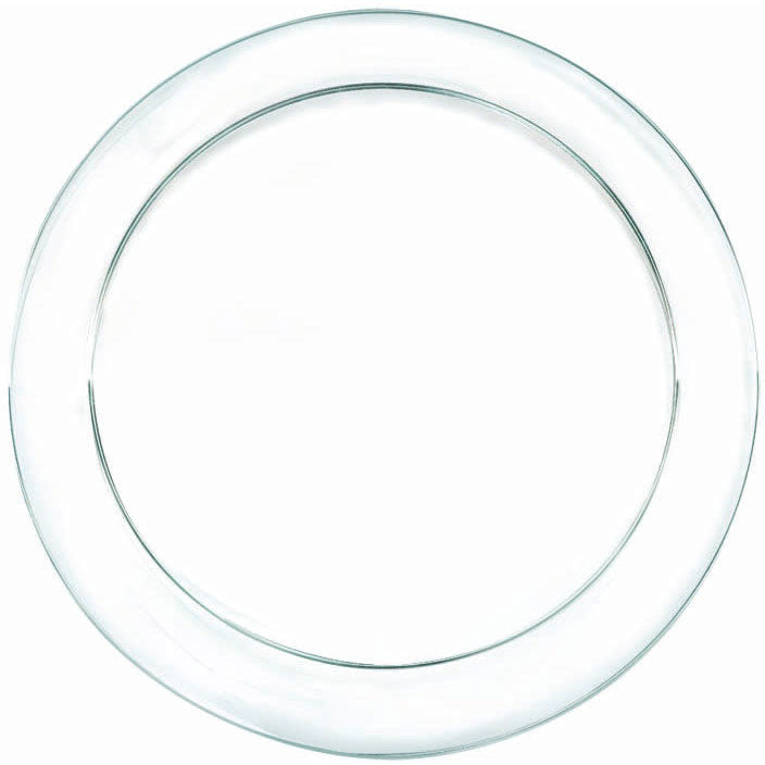 Clear Plastic Dinner Plates (24ct)