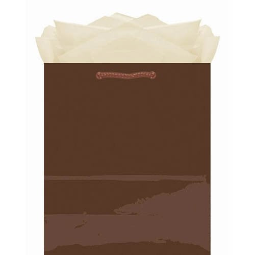 Chocolate Brown Glossy Medium Gift Bag