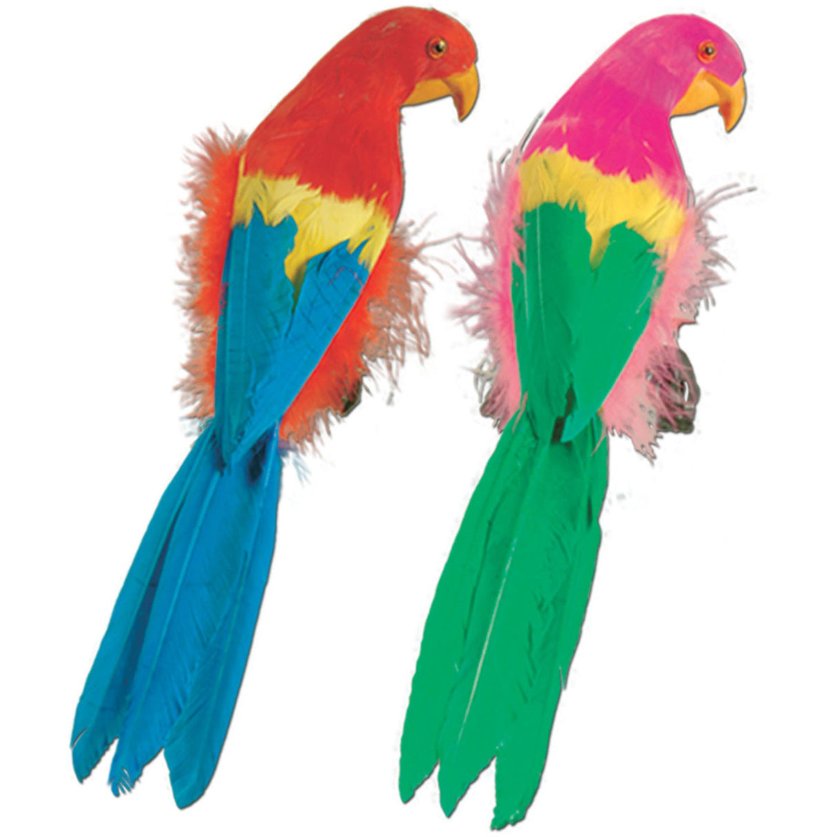 Feathered Parrot
