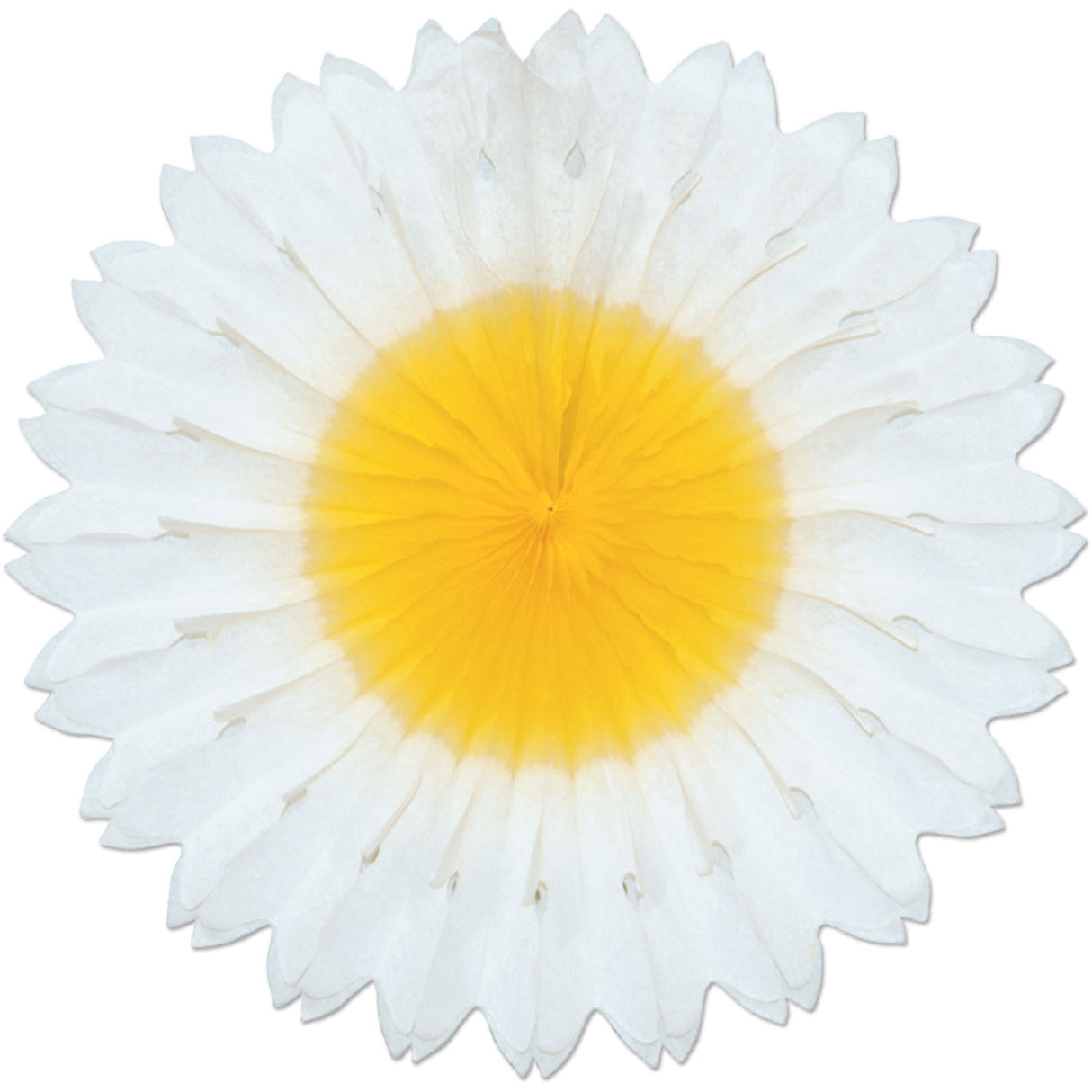 Daisy Fan