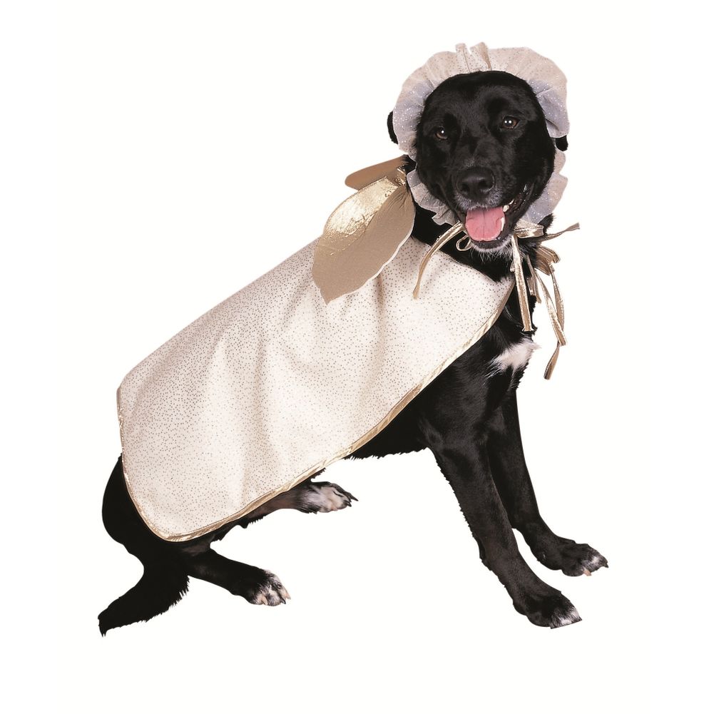 Angel Pet Costume