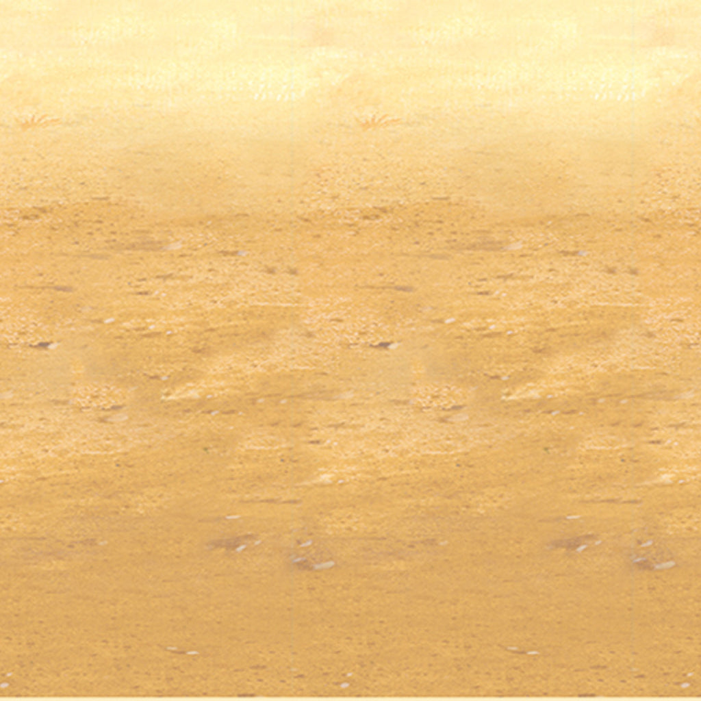Desert Sand Backdrop