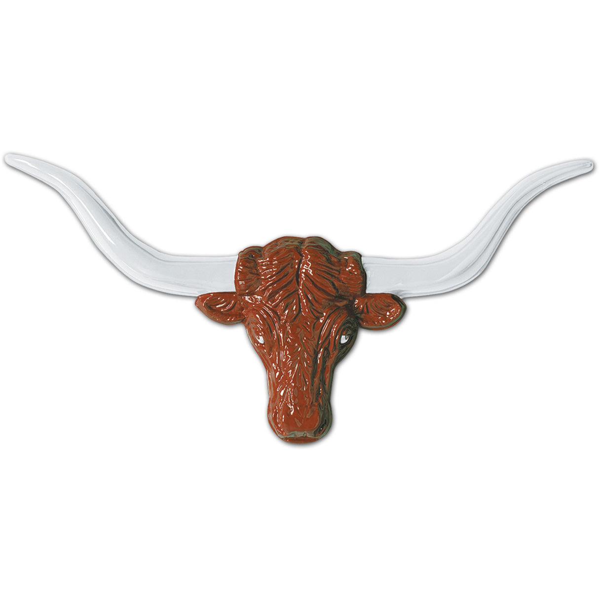 Longhorn Steer Head