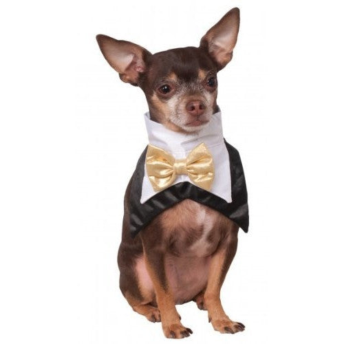 Dog Bowtie/Vest (M/L)