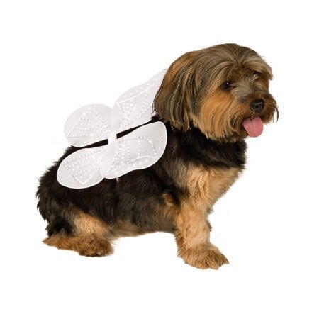 Dog Angel Wings