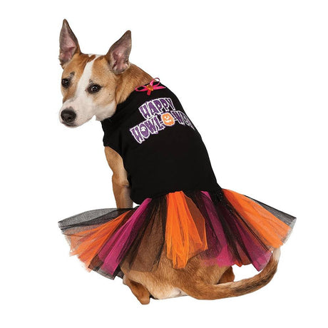 selection:Pets Small