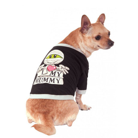 selection:Pets Small