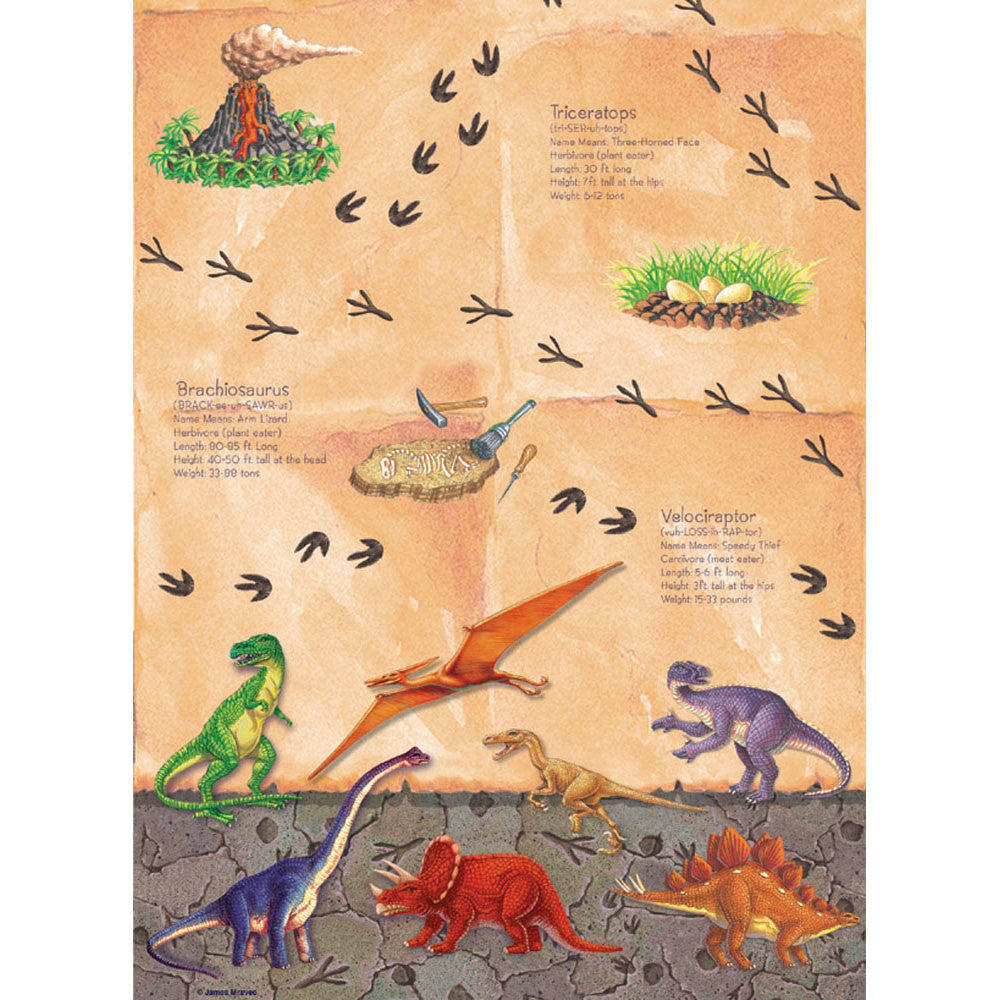 Diggin' For Dinos Plastic Tablecover