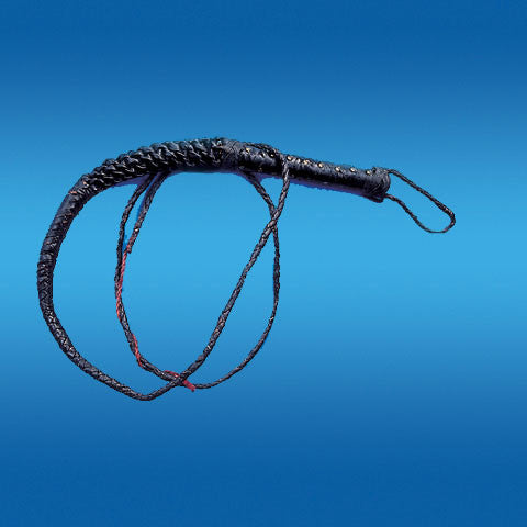 Bull Whip 9