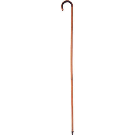 Cane, Bamboo