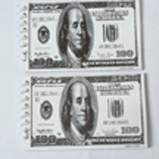 $100 Bill Note Pads