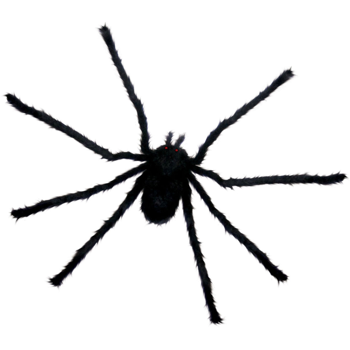 Sunstar Small Black Spider