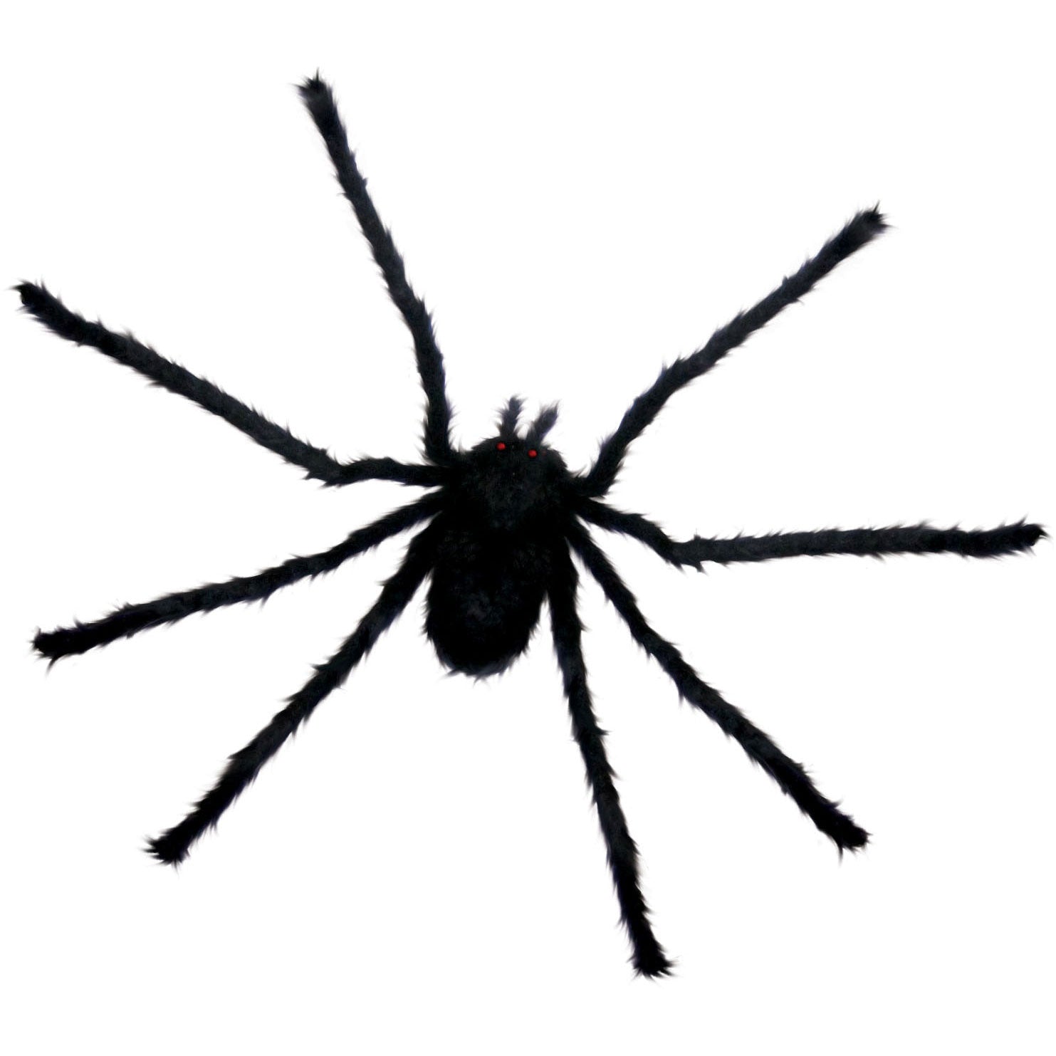 Sunstar Small Black Spider