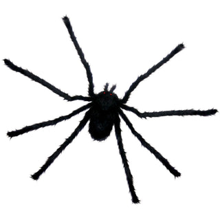 Sunstar Small Black Spider