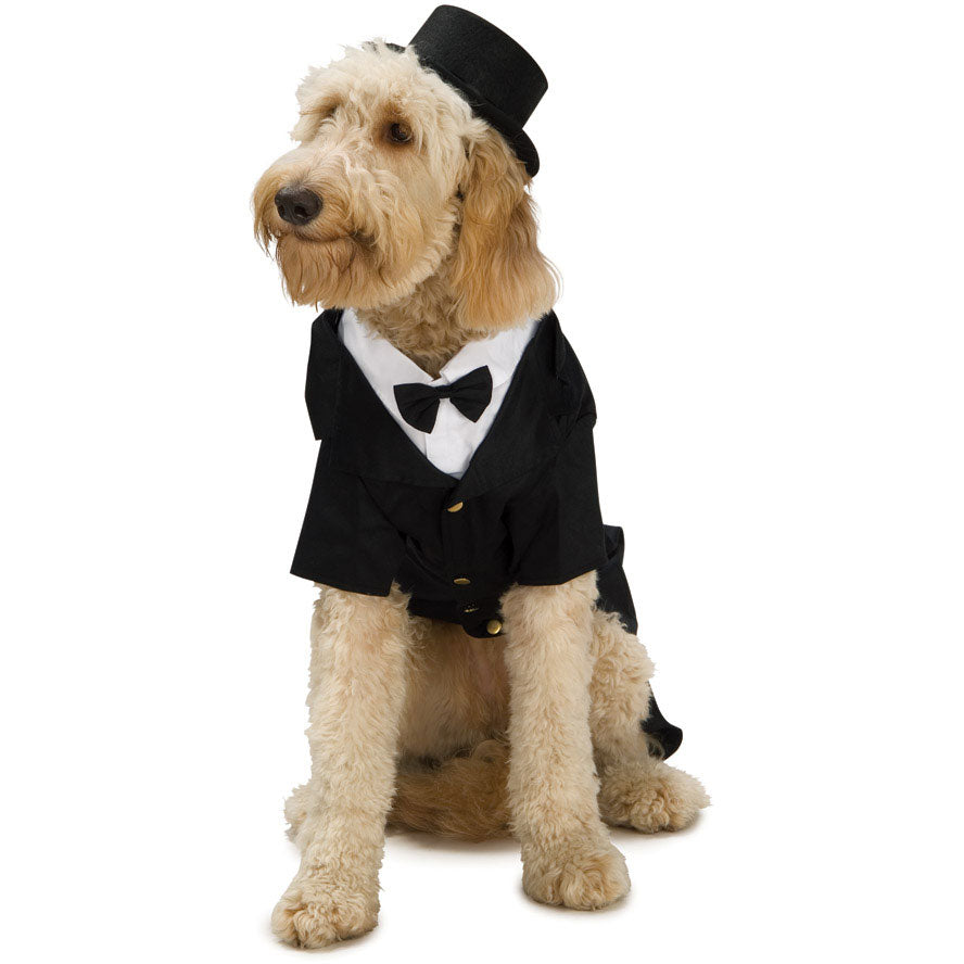 Dapper Dog Costume Pet Small