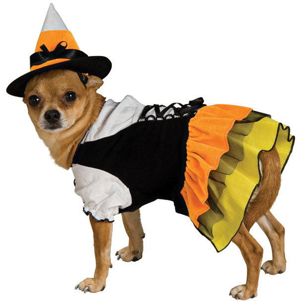 Candy Witch Pet Costume Small