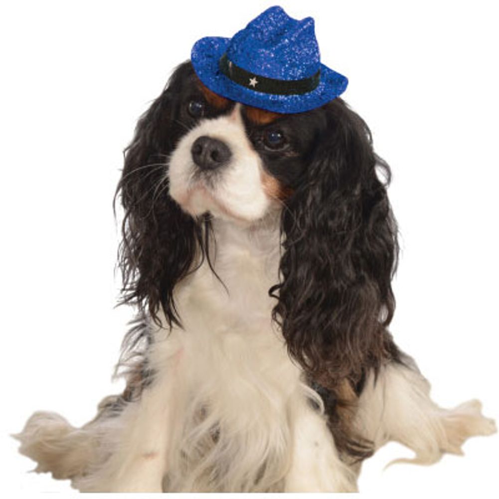 Blue Glitter Pet Cowboy Hat Medium/Large