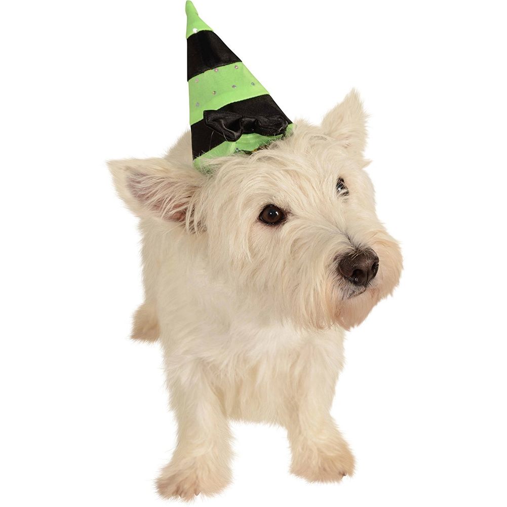 HAT WITCH GREEN BLACK