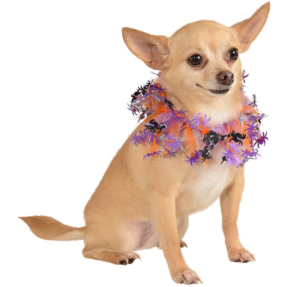 PET PR/OG SPIDERS COLLAR