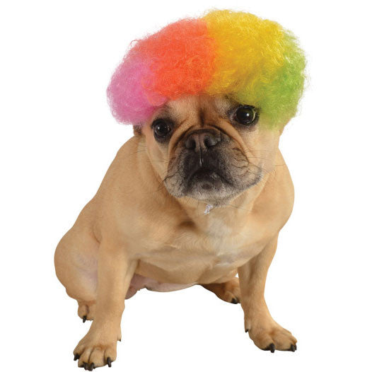 Rainbow Afro Wig Pet Wig Small/Medium