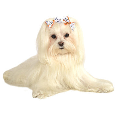 Halloween Pet Hair Bows
