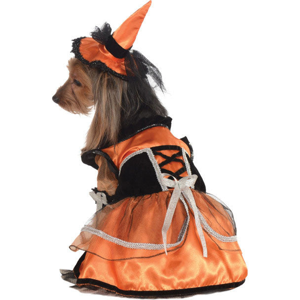 Orange Witch Pet Costume Small