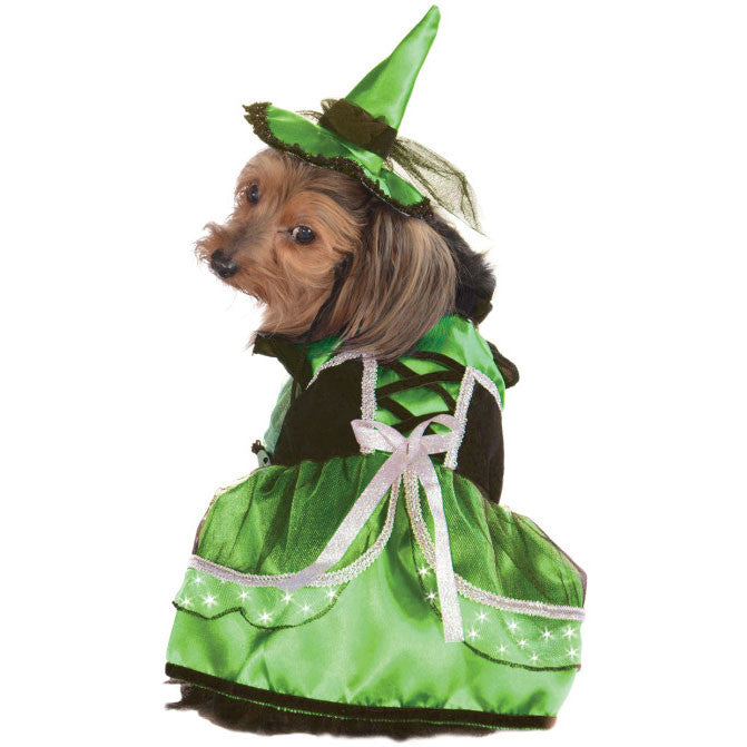 Neon Green Witch Pet Costume Medium