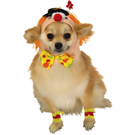 selection:Pets Large