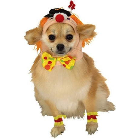 selection:Pets Medium