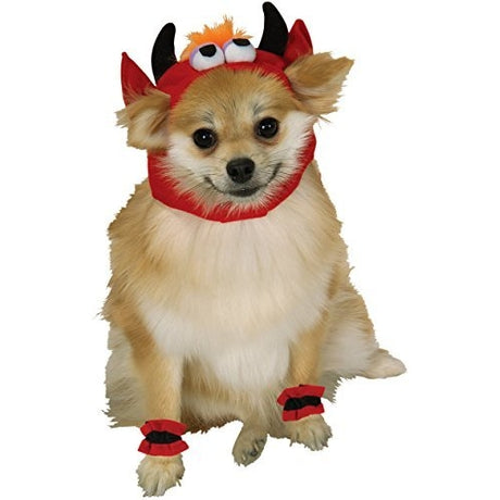 selection:Pets Large