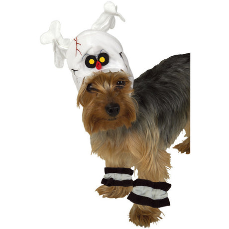 selection:Pets Large