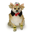 selection:Pets Large
