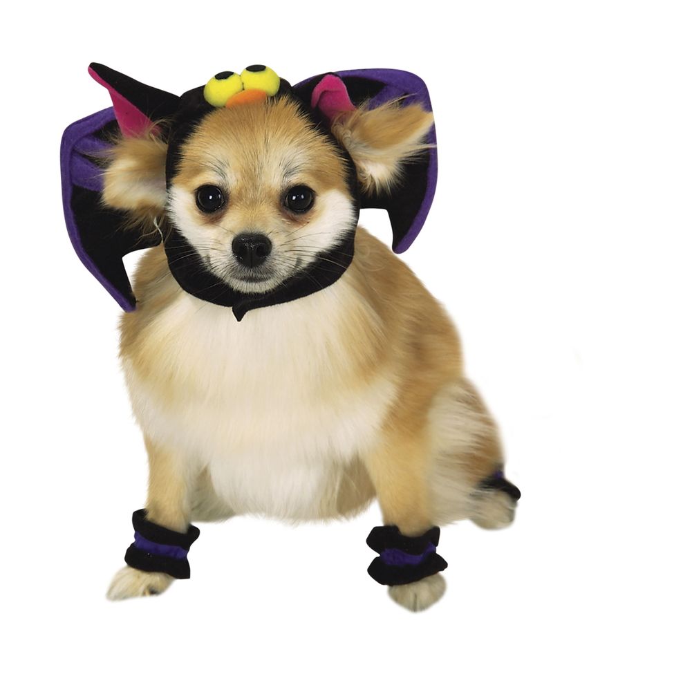 Bat Pet Costume