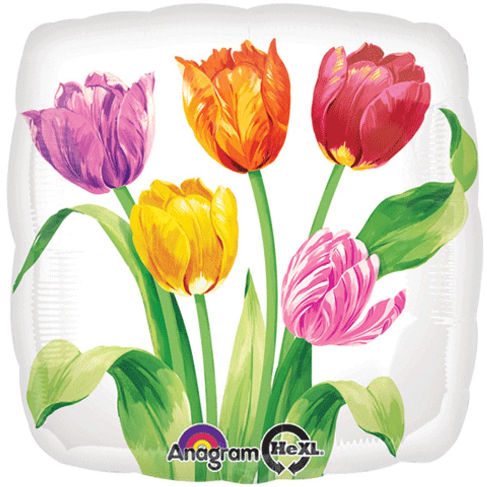 18" Tulips HX