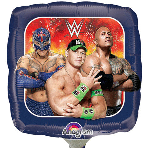 WWE GROUP MINI