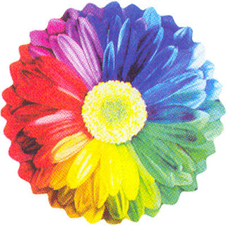 Rainbow Sunflower Helium Shape