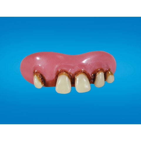 Betty Bob Teeth