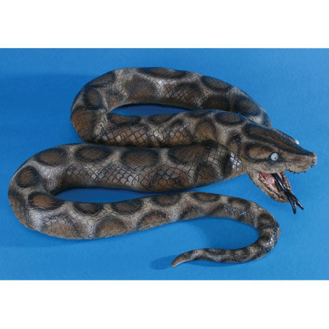 Python