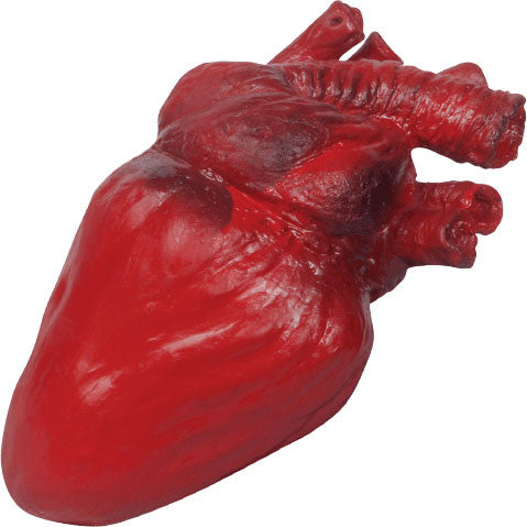 Bloody Realistic Heart