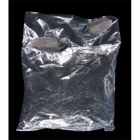 Plastic Cockroaches (144ct)