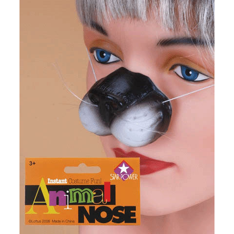 Cat Nose