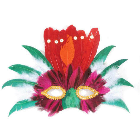 Indian Feather Mask