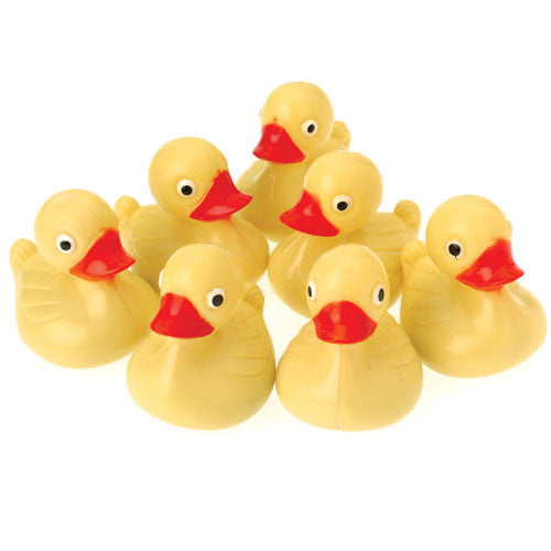 Duck Pond Floaters